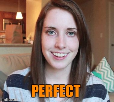 PERFECT | made w/ Imgflip meme maker