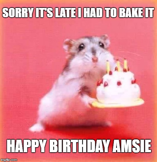 birthday hamster |  SORRY IT'S LATE I HAD TO BAKE IT; HAPPY BIRTHDAY AMSIE | image tagged in birthday hamster | made w/ Imgflip meme maker