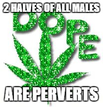 Perverted memes | 2 HALVES OF ALL MALES; ARE PERVERTS | image tagged in dope,marijuana,sbn,skits bit and nits,dank memes,males only | made w/ Imgflip meme maker
