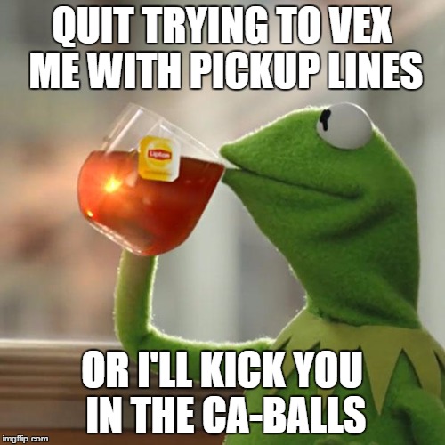 But That's None Of My Business Meme | QUIT TRYING TO VEX ME WITH PICKUP LINES OR I'LL KICK YOU IN THE CA-BALLS | image tagged in memes,but thats none of my business,kermit the frog | made w/ Imgflip meme maker