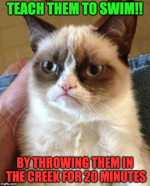 Grumpy Cat Meme | TEACH THEM TO SWIM!! BY THROWING THEM IN THE CREEK FOR 20 MINUTES | image tagged in memes,grumpy cat | made w/ Imgflip meme maker