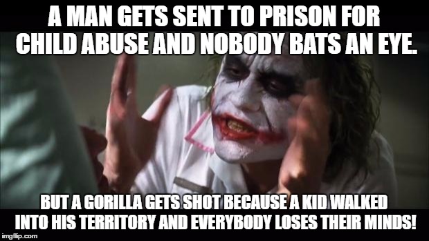 I just don't get the controversy over Harambe. | A MAN GETS SENT TO PRISON FOR CHILD ABUSE AND NOBODY BATS AN EYE. BUT A GORILLA GETS SHOT BECAUSE A KID WALKED INTO HIS TERRITORY AND EVERYBODY LOSES THEIR MINDS! | image tagged in memes,and everybody loses their minds | made w/ Imgflip meme maker