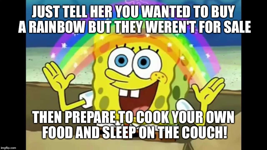 JUST TELL HER YOU WANTED TO BUY A RAINBOW BUT THEY WEREN'T FOR SALE THEN PREPARE TO COOK YOUR OWN FOOD AND SLEEP ON THE COUCH! | made w/ Imgflip meme maker