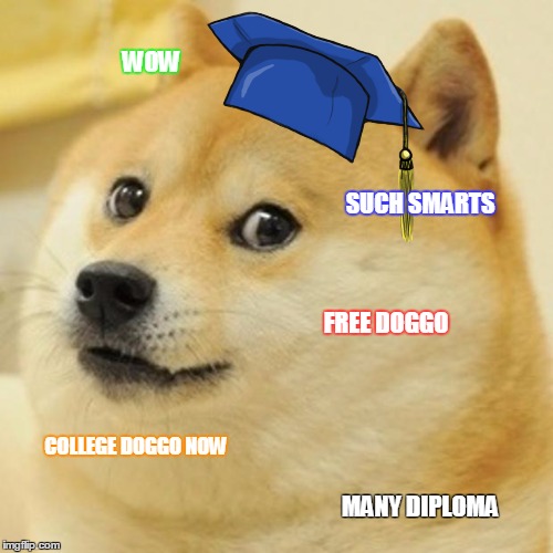 Doge Meme | WOW; SUCH SMARTS; FREE DOGGO; COLLEGE DOGGO NOW; MANY DIPLOMA | image tagged in memes,doge | made w/ Imgflip meme maker