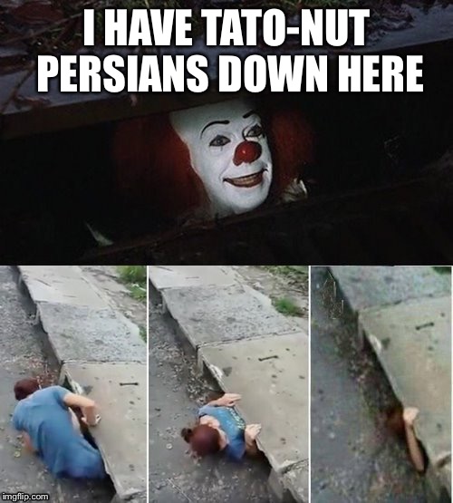 Penny Wise Pick Up Lines | I HAVE TATO-NUT PERSIANS DOWN HERE | image tagged in penny wise pick up lines | made w/ Imgflip meme maker