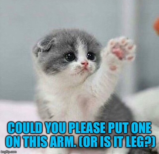 COULD YOU PLEASE PUT ONE ON THIS ARM. (OR IS IT LEG?) | made w/ Imgflip meme maker
