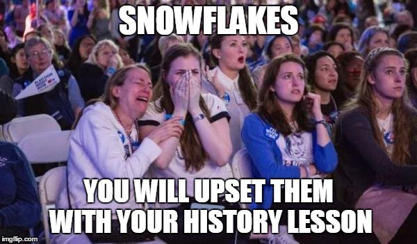 snowflakes | SNOWFLAKES; YOU WILL UPSET THEM WITH YOUR HISTORY LESSON | image tagged in snowflakes | made w/ Imgflip meme maker