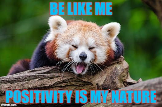 BE LIKE ME; POSITIVITY IS MY NATURE | image tagged in positivity,positive thinking,motivation,motivated,panda | made w/ Imgflip meme maker