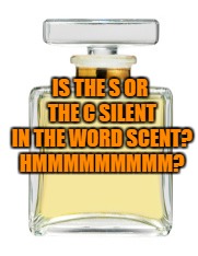 Perfume | IS THE S OR THE C SILENT IN THE WORD SCENT? HMMMMMMMMM? | image tagged in perfume,grammer,scent,funny,funny memes | made w/ Imgflip meme maker