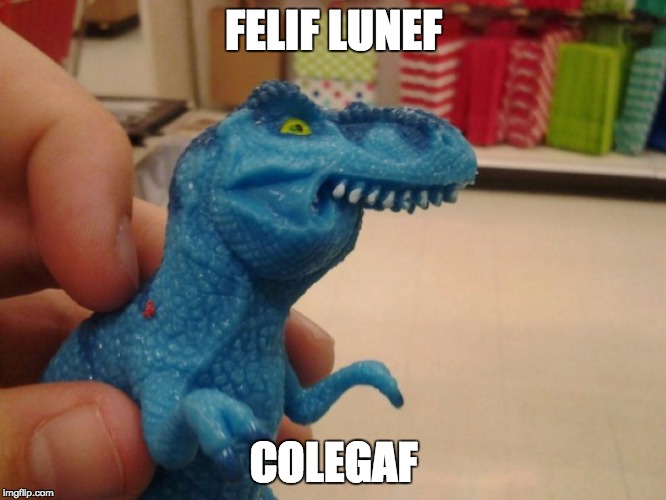 dinosaurioazul | FELIF LUNEF; COLEGAF | image tagged in dinosaurioazul | made w/ Imgflip meme maker