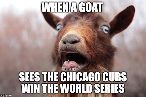 GoatScream2014 | WHEN A GOAT; SEES THE CHICAGO CUBS WIN THE WORLD SERIES | image tagged in goatscream2014 | made w/ Imgflip meme maker