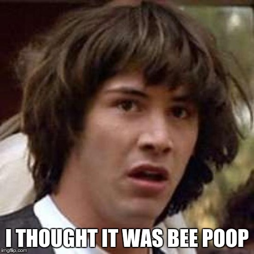 Conspiracy Keanu Meme | I THOUGHT IT WAS BEE POOP | image tagged in memes,conspiracy keanu | made w/ Imgflip meme maker