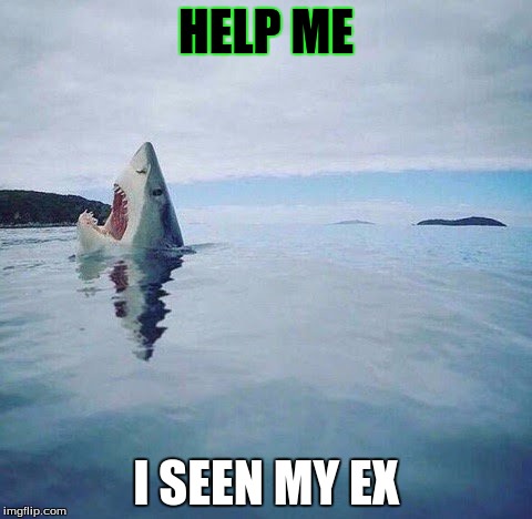 shark_head_out_of_water | HELP ME; I SEEN MY EX | image tagged in shark_head_out_of_water | made w/ Imgflip meme maker