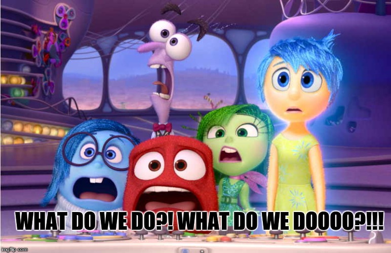 Panic Mode | WHAT DO WE DO?! WHAT DO WE DOOOO?!!! | image tagged in inside out | made w/ Imgflip meme maker