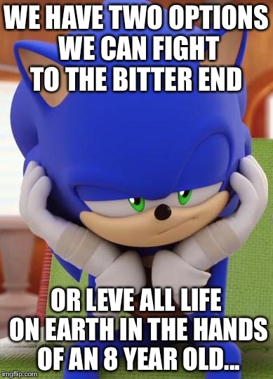 Disappointed Sonic | WE HAVE TWO OPTIONS WE CAN FIGHT TO THE BITTER END; OR LEVE ALL LIFE ON EARTH IN THE HANDS OF AN 8 YEAR OLD... | image tagged in disappointed sonic | made w/ Imgflip meme maker