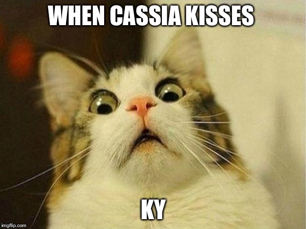 Scared Cat Meme | WHEN CASSIA KISSES; KY | image tagged in memes,scared cat | made w/ Imgflip meme maker