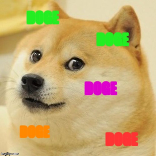 Doge Meme | DOGE; DOGE; DOGE; DOGE; DOGE | image tagged in memes,doge | made w/ Imgflip meme maker