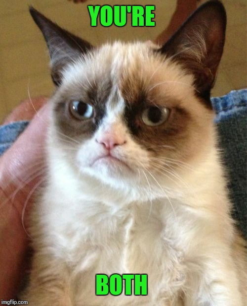 Grumpy Cat Meme | YOU'RE BOTH | image tagged in memes,grumpy cat | made w/ Imgflip meme maker