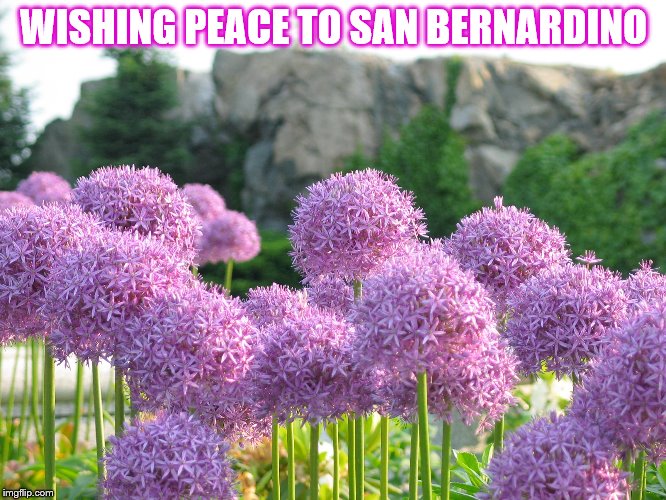 San Bernardino | WISHING PEACE TO
SAN BERNARDINO | image tagged in san bernardino,give peace a chance | made w/ Imgflip meme maker