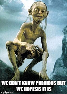Gollum Bow | WE DON'T KNOW PRECIOUS
BUT WE HOPESIS IT IS | image tagged in gollum bow | made w/ Imgflip meme maker