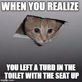 cat meme | WHEN YOU REALIZE; YOU LEFT A TURD IN THE TOILET WITH THE SEAT UP | image tagged in cat meme | made w/ Imgflip meme maker