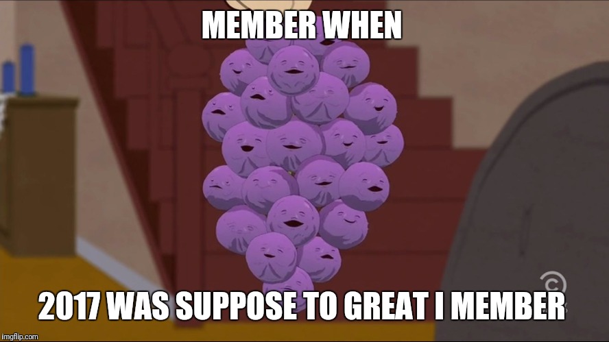 Member Berries Meme | MEMBER WHEN; 2017 WAS SUPPOSE TO GREAT I MEMBER | image tagged in memes,member berries | made w/ Imgflip meme maker