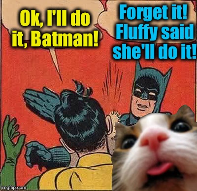 Batman Slapping Robin Meme | Ok, I'll do it, Batman! Forget it! Fluffy said she'll do it! | image tagged in memes,batman slapping robin | made w/ Imgflip meme maker