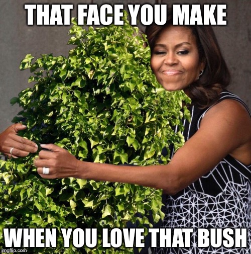 THAT FACE YOU MAKE WHEN YOU LOVE THAT BUSH | made w/ Imgflip meme maker