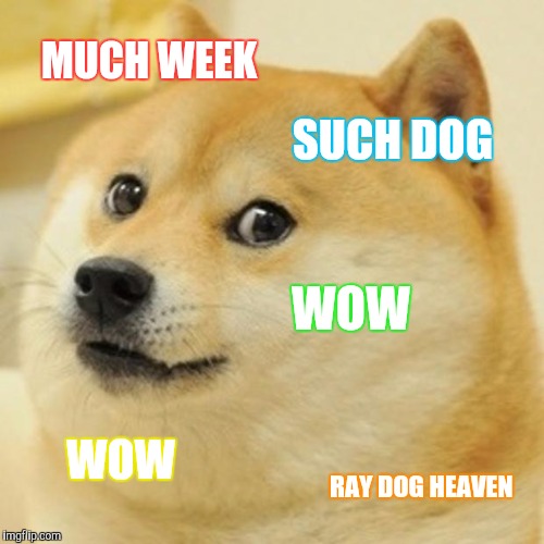 Doge | MUCH WEEK; SUCH DOG; WOW; WOW; RAY DOG HEAVEN | image tagged in memes,doge,funny,dog week,raydog | made w/ Imgflip meme maker