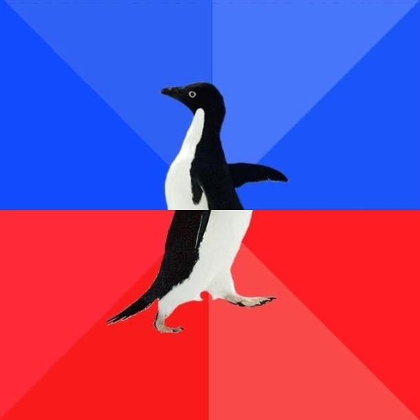 No Yes Penguin Blank Meme Template