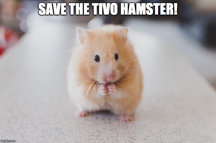 SAVE THE TIVO HAMSTER! | made w/ Imgflip meme maker
