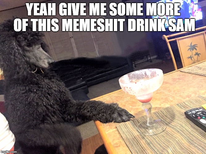Noah Gump at Bar | YEAH GIVE ME SOME MORE OF THIS MEMESHIT DRINK SAM | image tagged in noah gump at bar | made w/ Imgflip meme maker