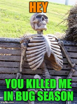 Waiting Skeleton Meme | HEY YOU KILLED ME IN BUG SEASON | image tagged in memes,waiting skeleton | made w/ Imgflip meme maker