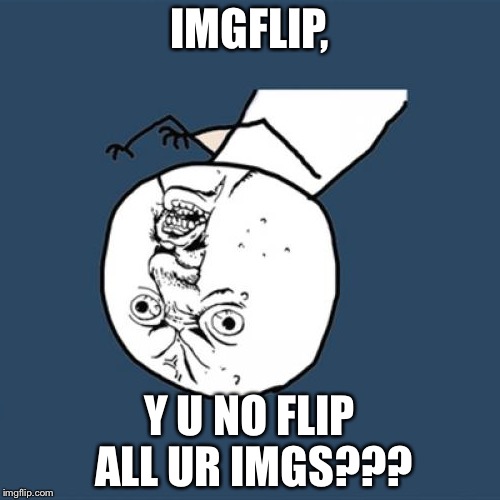Y U No Meme | IMGFLIP, Y U NO FLIP ALL UR IMGS??? | image tagged in memes,y u no | made w/ Imgflip meme maker