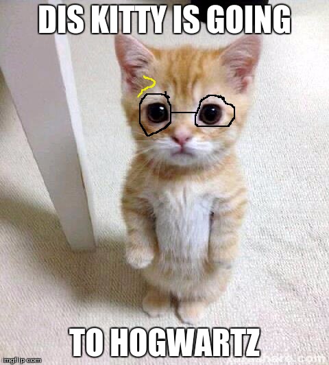 Cute Cat Meme | DIS KITTY IS GOING; TO HOGWARTZ | image tagged in memes,cute cat | made w/ Imgflip meme maker