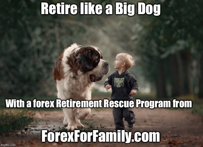 Retire Like a Big Dog | Retire like a Big Dog; With a forex Retirement Rescue Program from; ForexForFamily.com | image tagged in retire like a big dog | made w/ Imgflip meme maker