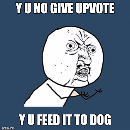 Y U No Meme | Y U NO GIVE UPVOTE Y U FEED IT TO DOG | image tagged in memes,y u no | made w/ Imgflip meme maker