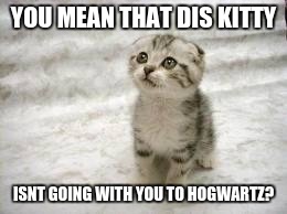 Sad Cat Meme | YOU MEAN THAT DIS KITTY; ISNT GOING WITH YOU TO HOGWARTZ? | image tagged in memes,sad cat | made w/ Imgflip meme maker