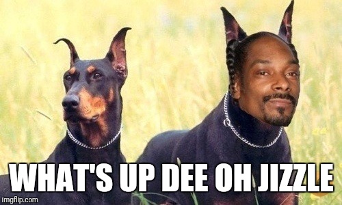 WHAT'S UP DEE OH JIZZLE | image tagged in dog and dogg | made w/ Imgflip meme maker