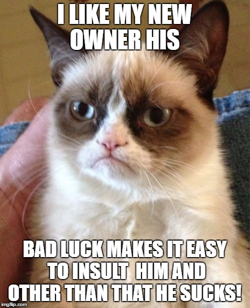 Grumpy Cat Meme | I LIKE MY NEW OWNER HIS BAD LUCK MAKES IT EASY TO INSULT  HIM AND OTHER THAN THAT HE SUCKS! | image tagged in memes,grumpy cat | made w/ Imgflip meme maker