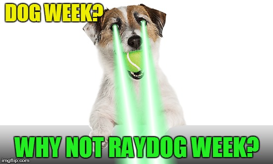 "Raydog" @ Dog Week - April 10 - 16 (A tiger.leo Event) | DOG WEEK? WHY NOT RAYDOG WEEK? | image tagged in memes,dog week | made w/ Imgflip meme maker