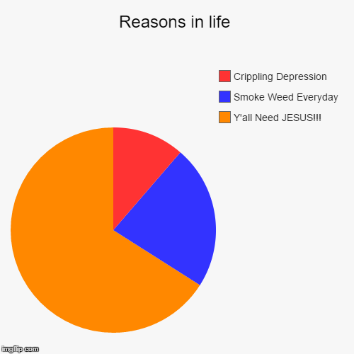 Reasons In Life | image tagged in funny,pie charts,smoke weed everyday,crippling depression,jesus,dank memes | made w/ Imgflip chart maker