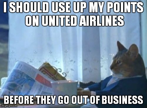 Is this United Airlines week on IMGFLIP? | I SHOULD USE UP MY POINTS ON UNITED AIRLINES; BEFORE THEY GO OUT OF BUSINESS | image tagged in memes,i should buy a boat cat,united airlines | made w/ Imgflip meme maker