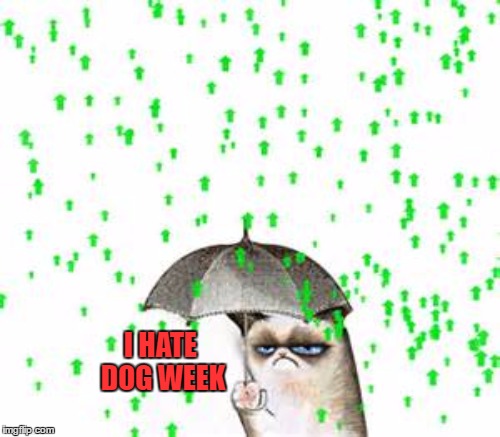 I HATE DOG WEEK | made w/ Imgflip meme maker