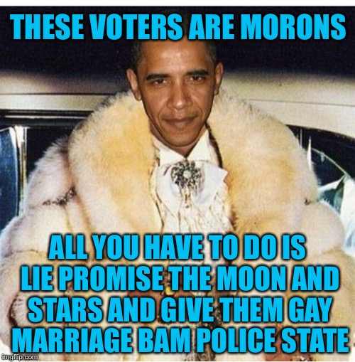 Pimp Daddy Obama | THESE VOTERS ARE MORONS ALL YOU HAVE TO DO IS LIE PROMISE THE MOON AND STARS AND GIVE THEM GAY MARRIAGE BAM POLICE STATE | image tagged in pimp daddy obama | made w/ Imgflip meme maker