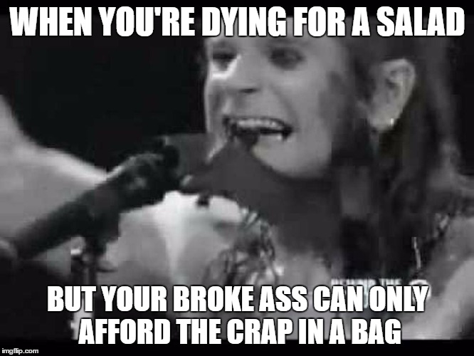 Plasma Dressing Anyone? | WHEN YOU'RE DYING FOR A SALAD; BUT YOUR BROKE ASS CAN ONLY AFFORD THE CRAP IN A BAG | image tagged in ozzy osbourne,bat salad,funny meme | made w/ Imgflip meme maker