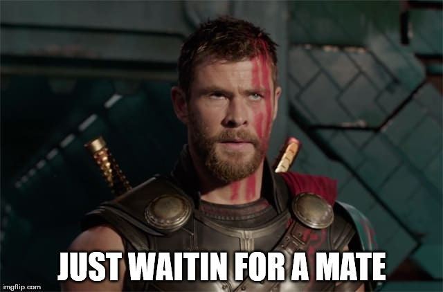 Just waitin for a mate | JUST WAITIN FOR A MATE | image tagged in thor,thor ragnarok,waitin for a mate,mate,aussie,avengers | made w/ Imgflip meme maker