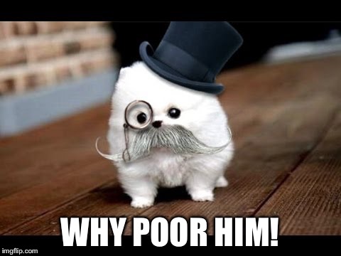 If You Ask Me (Dog) | WHY POOR HIM! | image tagged in if you ask me dog | made w/ Imgflip meme maker