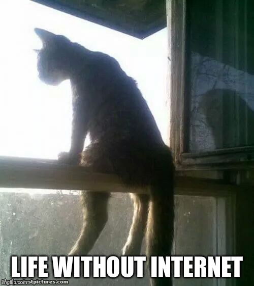 LIFE WITHOUT INTERNET | image tagged in memes,cat | made w/ Imgflip meme maker