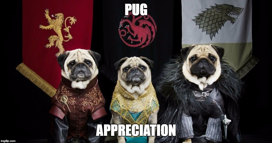 Game of Thrones Pug | PUG; APPRECIATION | image tagged in game of thrones pug | made w/ Imgflip meme maker